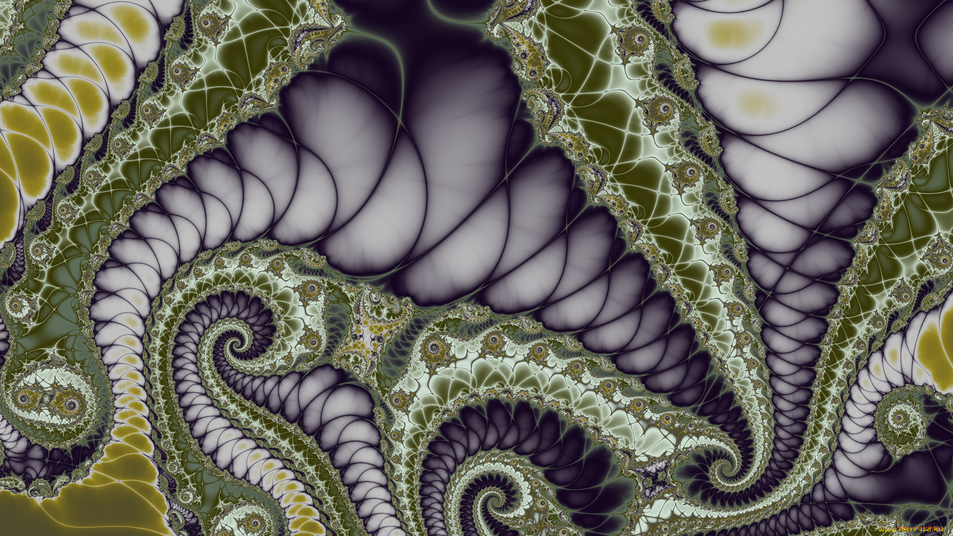 3 , fractal , , , , 